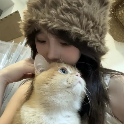 寻找多莉·帕顿